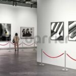 InoBarrier Protokol Bariyeri Krom - Görsel 2