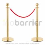 InoBarrier Protokol Bariyeri Altın