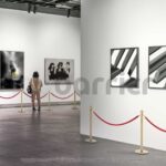 InoBarrier Protokol Bariyeri Altın - Görsel 2